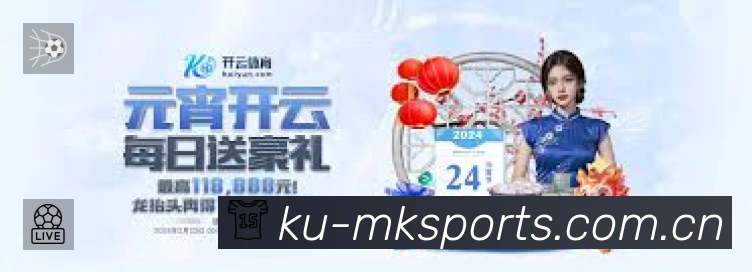 全球访问热力分布图